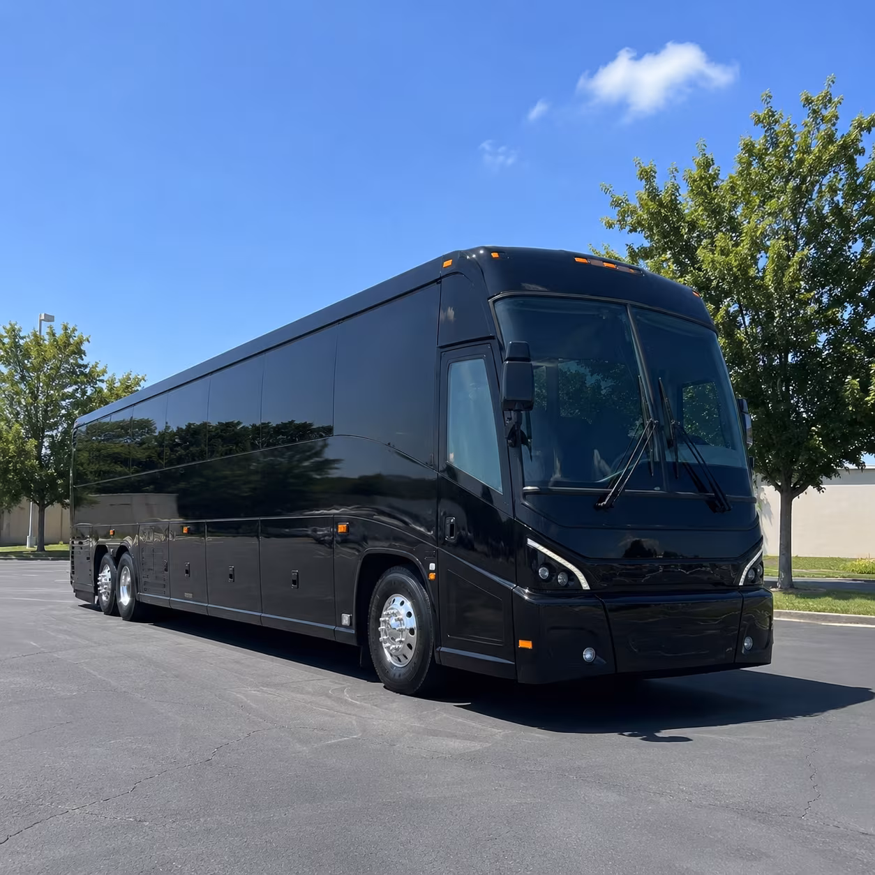 why government coordinators in tyler use tylercharterbusservices com to book group transportation
